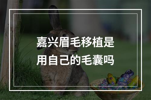 嘉兴眉毛移植是用自己的毛囊吗