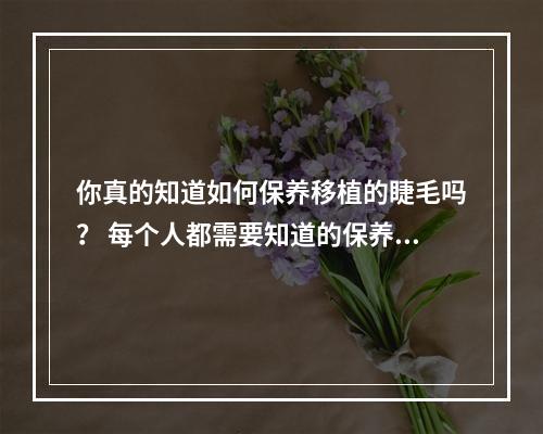 你真的知道如何保养移植的睫毛吗？ 每个人都需要知道的保养秘诀