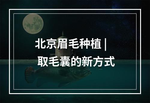 北京眉毛种植 | 取毛囊的新方式