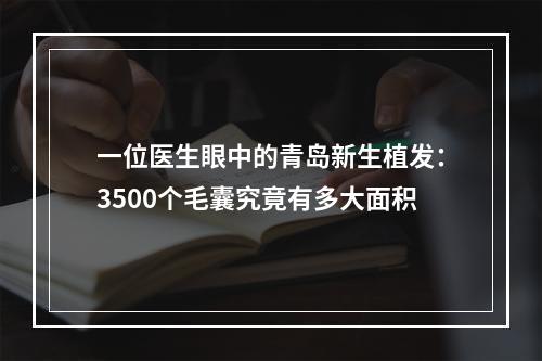 一位医生眼中的青岛新生植发：3500个毛囊究竟有多大面积