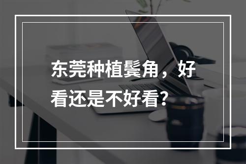 东莞种植鬓角，好看还是不好看？