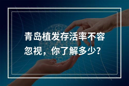 青岛植发存活率不容忽视，你了解多少？