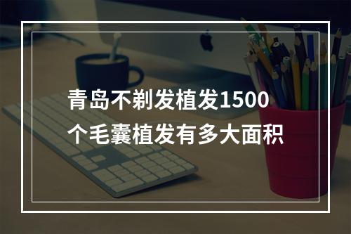 青岛不剃发植发1500个毛囊植发有多大面积