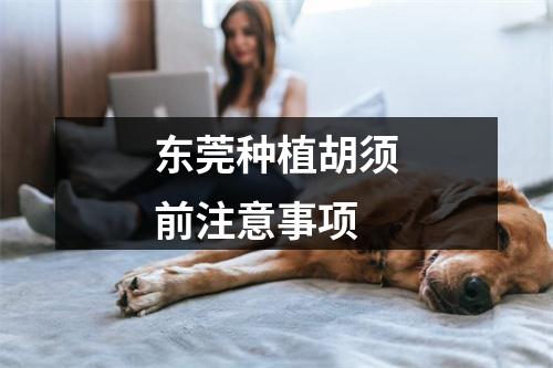 东莞种植胡须前注意事项