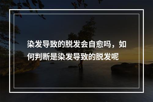 染发导致的脱发会自愈吗，如何判断是染发导致的脱发呢