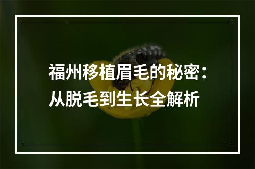 福州移植眉毛的秘密：从脱毛到生长全解析