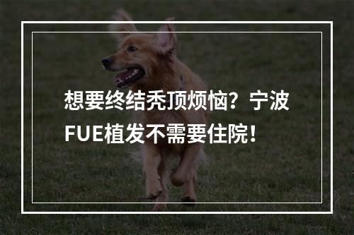 想要终结秃顶烦恼？宁波FUE植发不需要住院！