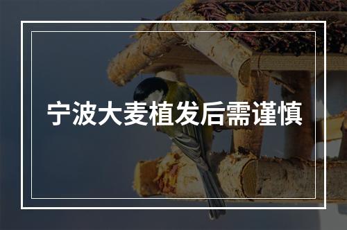 宁波大麦植发后需谨慎