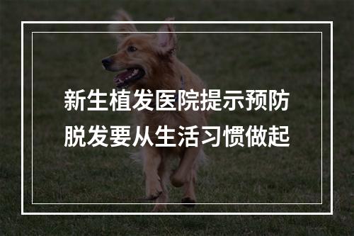 新生植发医院提示预防脱发要从生活习惯做起