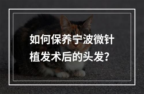 如何保养宁波微针植发术后的头发？