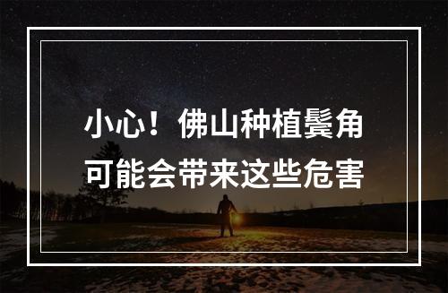 小心！佛山种植鬓角可能会带来这些危害