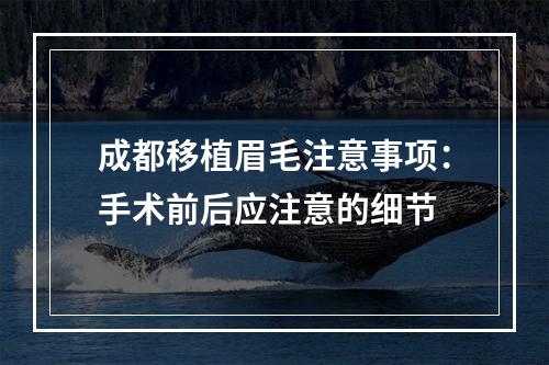 成都移植眉毛注意事项：手术前后应注意的细节