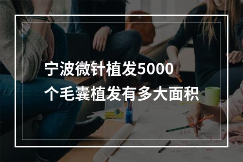 宁波微针植发5000个毛囊植发有多大面积