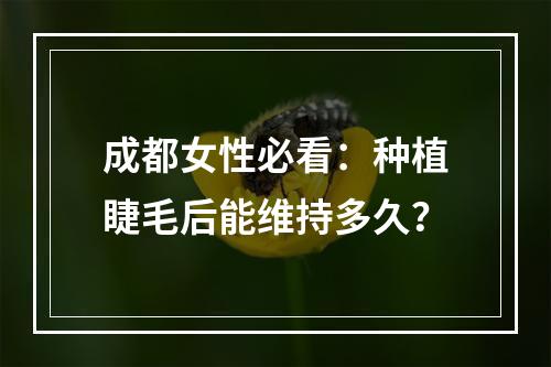 成都女性必看：种植睫毛后能维持多久？