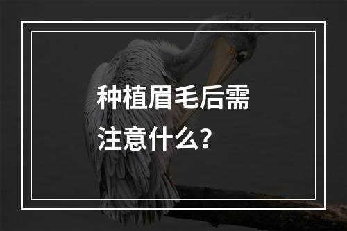 种植眉毛后需注意什么？