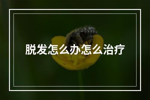 脱发怎么办怎么治疗