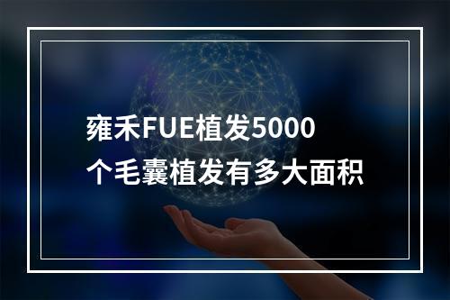 雍禾FUE植发5000个毛囊植发有多大面积