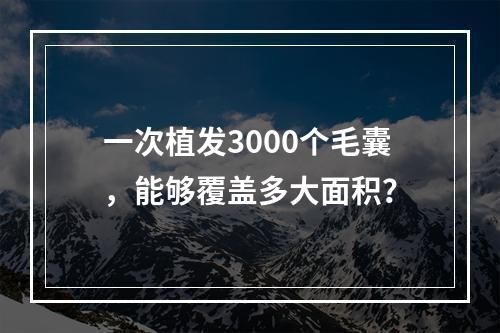 一次植发3000个毛囊，能够覆盖多大面积？