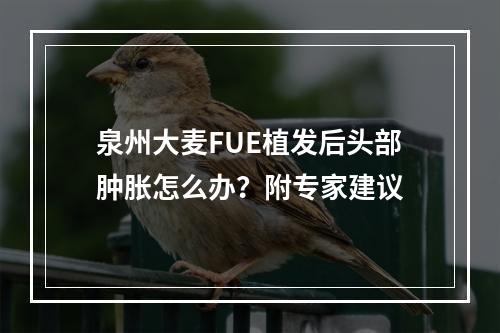 泉州大麦FUE植发后头部肿胀怎么办？附专家建议