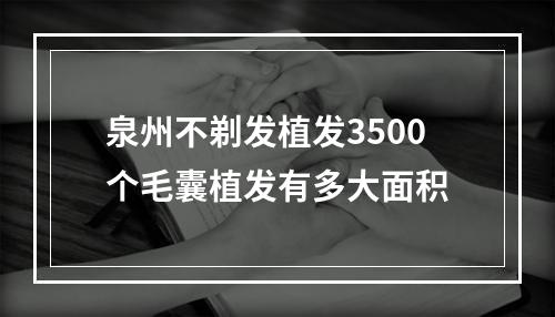 泉州不剃发植发3500个毛囊植发有多大面积