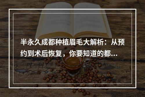 半永久成都种植眉毛大解析：从预约到术后恢复，你要知道的都在这里