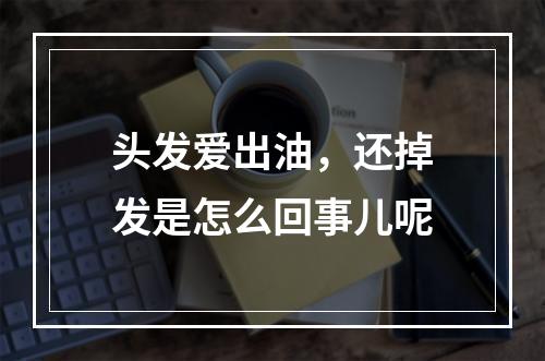 头发爱出油，还掉发是怎么回事儿呢