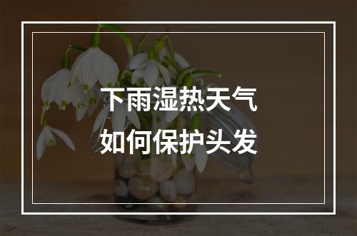 下雨湿热天气如何保护头发