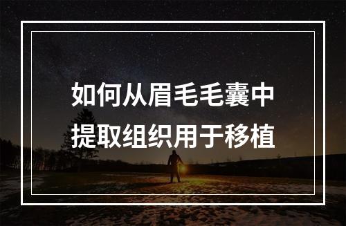 如何从眉毛毛囊中提取组织用于移植