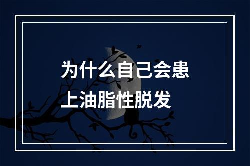 为什么自己会患上油脂性脱发