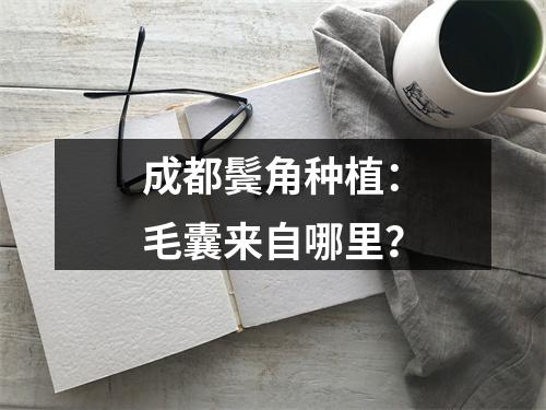 成都鬓角种植：毛囊来自哪里？