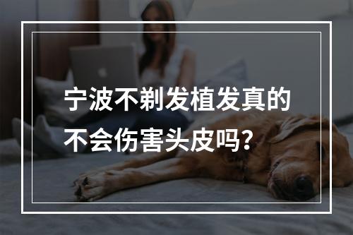 宁波不剃发植发真的不会伤害头皮吗？