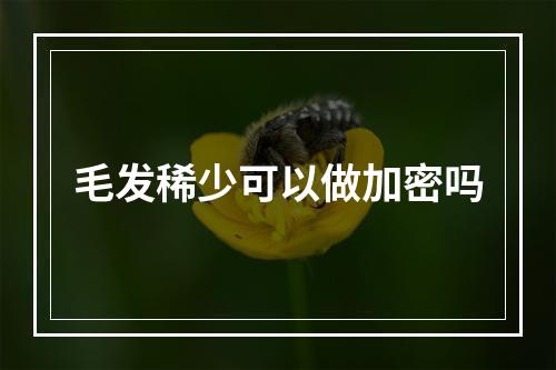 毛发稀少可以做加密吗