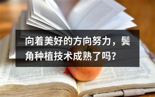 向着美好的方向努力，鬓角种植技术成熟了吗？