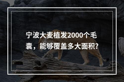 宁波大麦植发2000个毛囊，能够覆盖多大面积？