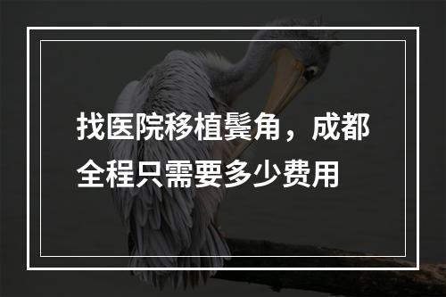 找医院移植鬓角，成都全程只需要多少费用