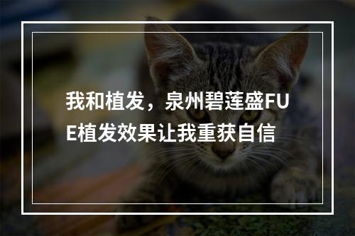 我和植发，泉州碧莲盛FUE植发效果让我重获自信