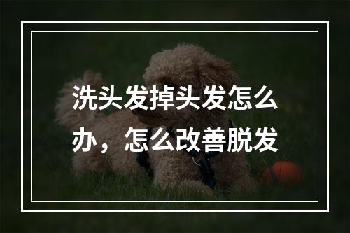 洗头发掉头发怎么办，怎么改善脱发