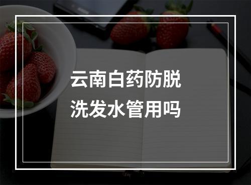 云南白药防脱洗发水管用吗