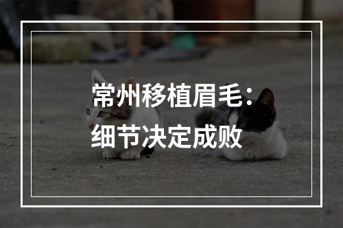 常州移植眉毛：细节决定成败