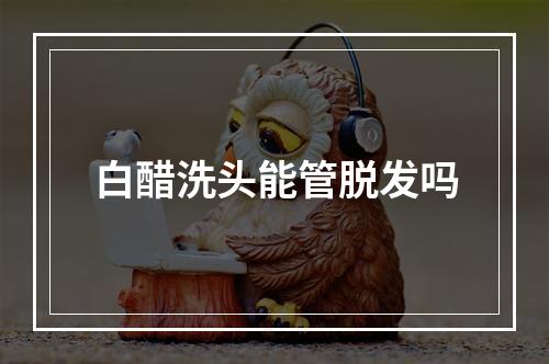 白醋洗头能管脱发吗