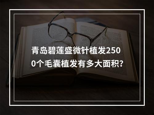 青岛碧莲盛微针植发2500个毛囊植发有多大面积？