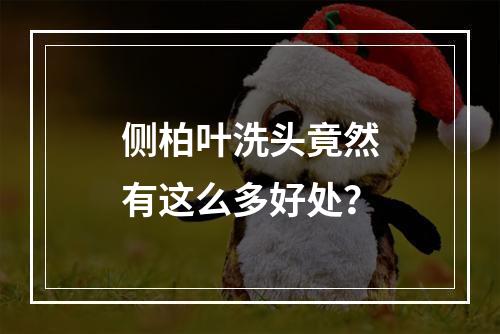 侧柏叶洗头竟然有这么多好处？