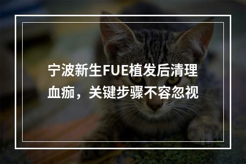 宁波新生FUE植发后清理血痂，关键步骤不容忽视