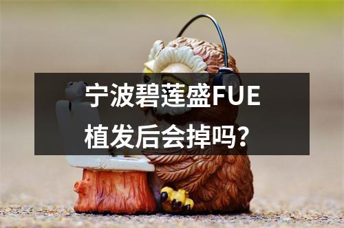 宁波碧莲盛FUE植发后会掉吗？