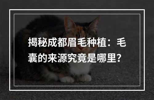 揭秘成都眉毛种植：毛囊的来源究竟是哪里？