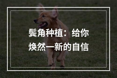 鬓角种植：给你焕然一新的自信