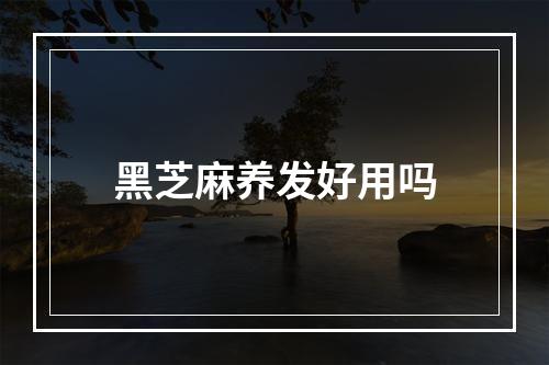 黑芝麻养发好用吗