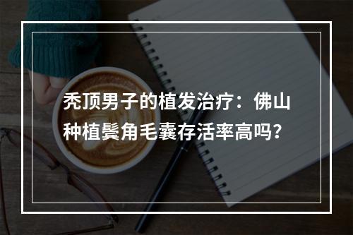 秃顶男子的植发治疗：佛山种植鬓角毛囊存活率高吗？