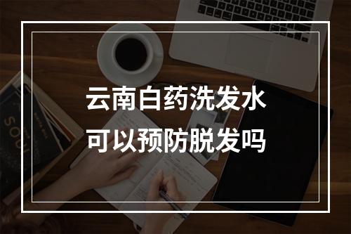 云南白药洗发水可以预防脱发吗