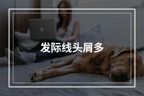 发际线头屑多